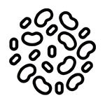 Pulses
